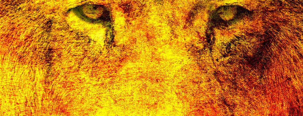 Spotify: To Dub or Not to Dub