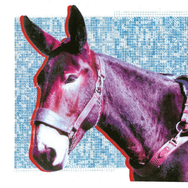 Watch: New Protomartyr - Possessed By The Boys