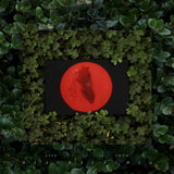 Sumney, Moses - Live From Bataclan (2LP)