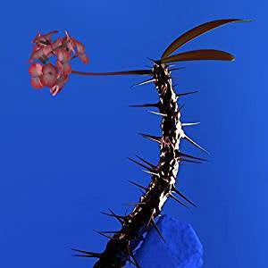 Flume - Skin Companion EP2 (12")