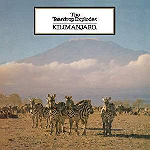 Teardrop Explodes - Kilimanjaro (RI)