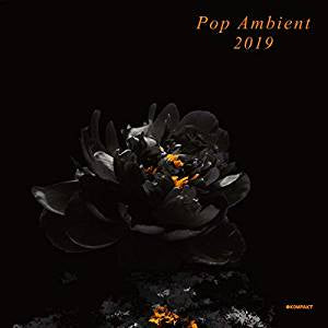 Various Artists - Pop Ambient 2019 (2LP)