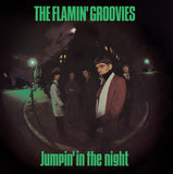 Flamin' Groovies - Jumpin' In the Night (180g)