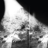 Godspeed You! Black Emperor - Asunder, Sweet And Other Distress (180G)