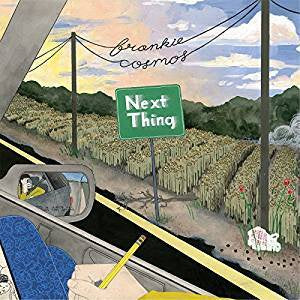 Cosmos, Frankie - Next Thing