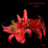 V/A - Pop Ambient 2021