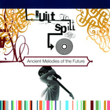 Built To Spill - Ancient Melodies of the Future (180G Audiophile Vinyl)