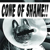 Faith No More - Cone of Shame (7"/Clear vinyl)