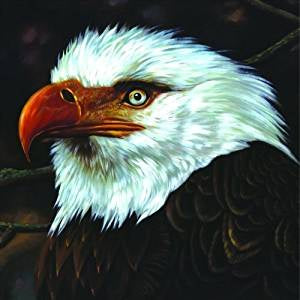 Mogwai - The Hawk Is Howling (2LP/RI)
