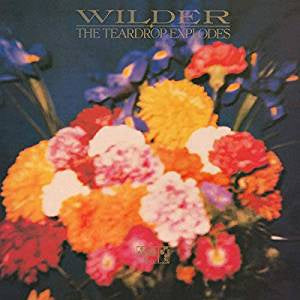 Teardrop Explodes - Wilder (RI)