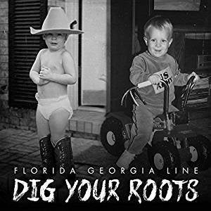 Florida Georgia Line - Dig Your Roots (2LP/Gatefold)