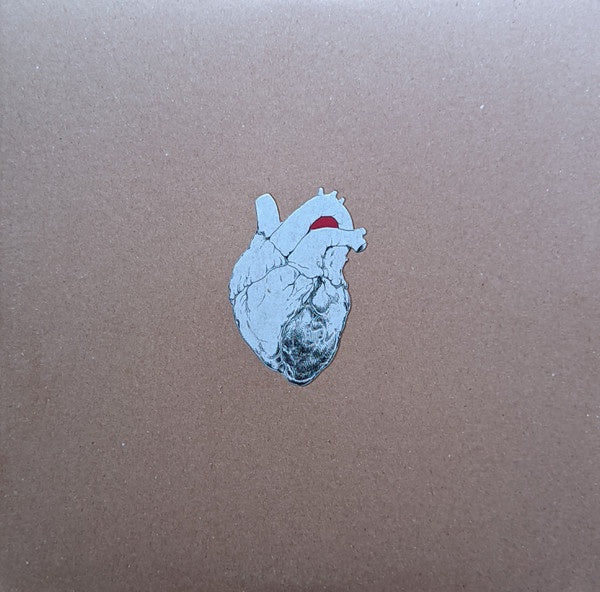 Swans - The Beggar (2LP)