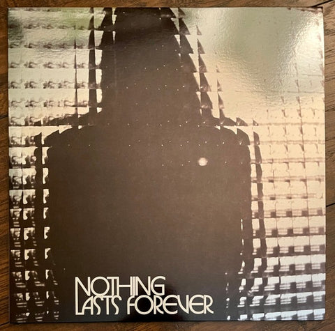 Teenage Fanclub - Nothing Last Forever (Peak Vinyl/Indie Exclusive/Silver & Black Vinyl)
