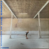Torres - What An Enormous Room (Peak Vinyl/Indie Exclusive/Blue & White Vinyl)