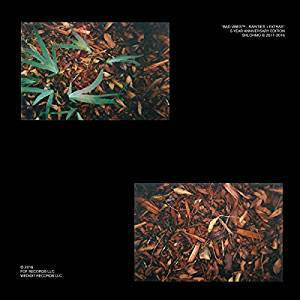 Shlomo - Bad Vibes: Rarities & Extras
