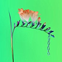 Flume - Skin Companion EP1 (12")