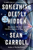 Carrol, Sean - Something Deeply Hidden
